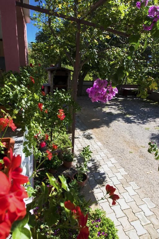 Apartments Zile ستاريغغاد باكلينتسا المظهر الخارجي الصورة