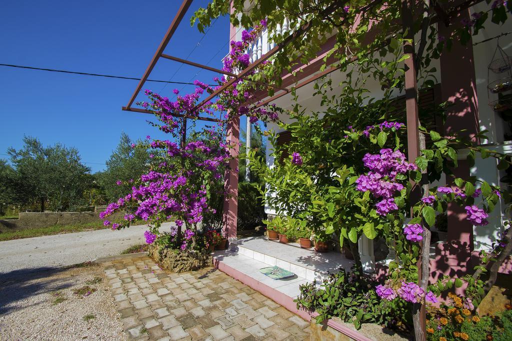 Apartments Zile ستاريغغاد باكلينتسا المظهر الخارجي الصورة