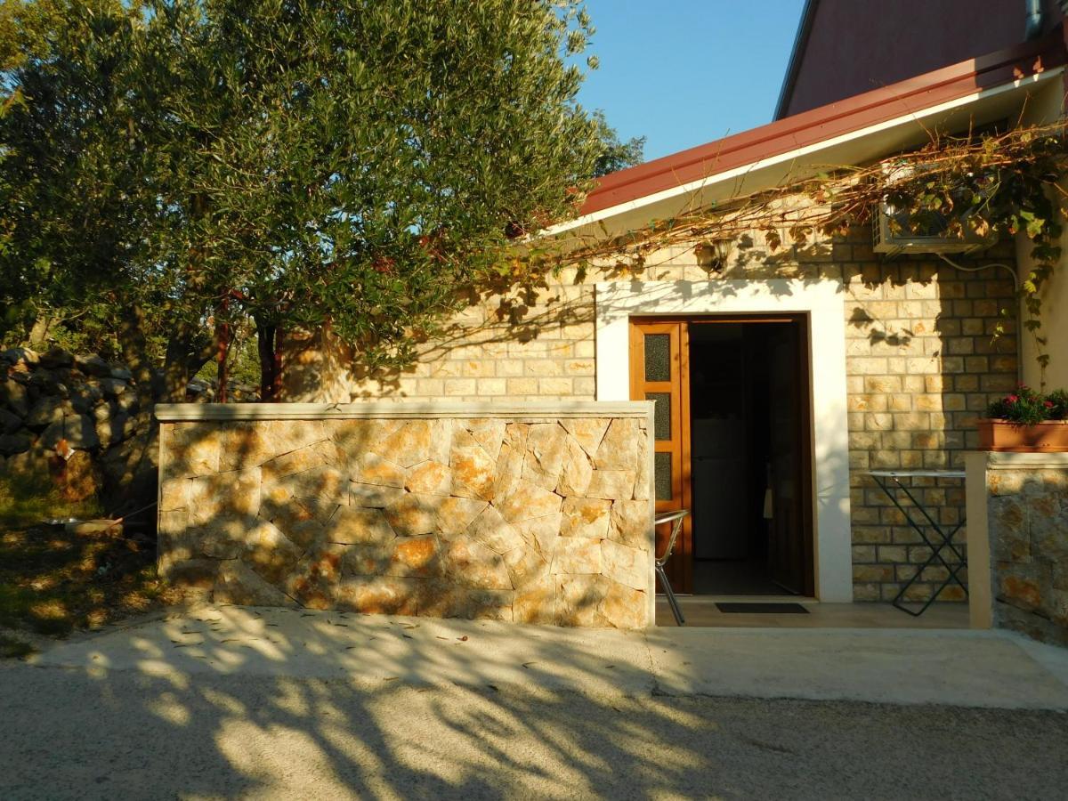 Apartments Zile ستاريغغاد باكلينتسا المظهر الخارجي الصورة